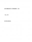 ECOLOGIA Contaminación Ambiental
