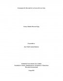 Estrategias De Mercado De La Guerra De Las Colas