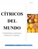 CÍTRICOS DEL MUNDO MANDARINAS, NARANJAS, POMELOS Y LIMONES
