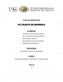 PLAN DE NEGOCIOS FILTRANTE DE MORINGA