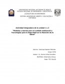 “Modelos y teorías para el cuidado asistencial y Tecnologías para la Seguridad en la Atención de la Salud”