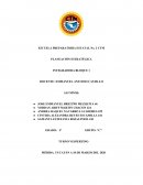 PROYECTO PLANEACIÓN ESTRATÉGICA