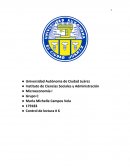 MICROECONOMÍA I - LA TEORÍA DE JUEGOS