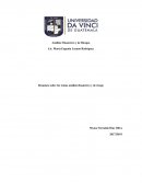 Resumen sobre los temas análisis financiero y de riesgo