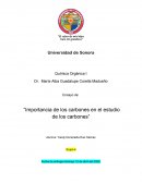 Importancia de los carbones en el estudio de los carbones