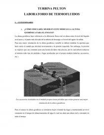 LABORATORIO DE TERMOFLUIDOS. Página 1