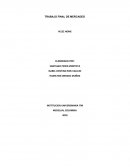 TRABAJO FINAL DE MERCADEO VELEZ HOME