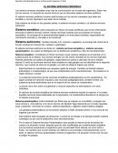 EL SISTEMA NERVIOSO PERIFÉRICO
