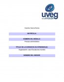 Organigrama Esc. dos mundos