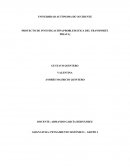 PROYECTO DE INVESTIGACIÓN (PROBLEMÁTICA DEL TRANSPORTE PIRATA)