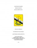 FISIOLOGIA HUMANA II