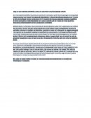Estoy en una posición intermedia, dentro de una visión amplificada de la ciencia