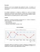 Como crear un Oceano azul STARBUCKS