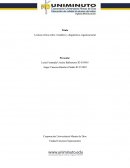 Lectura crítica sobre el análisis y diagnóstico organizacional