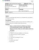 Actividad . Ideas de Negocios