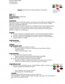 Proyecto: panel informativo sobre las pelotas y los deportes