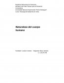 Psicología del desarrollo humano