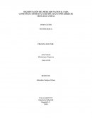 Segmentación del Mercado Nacional Para las Compañias Cosmeticas Certificadas Como Libre de Crueltdad Animal