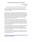 Ensayo de Responsabilidad Social (NOTICIA)