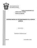 TEORIA DEL DERECHO. DIVERSOS MODELOS CONTEMPORANEOS DE LA CIENCIA JURIDICA