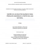 DISEÑO DE UN REACTOR QUÍMICO PARA PRODUCIR AMONÍACO A PARTIR DEL GAS NATURAL