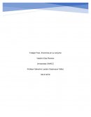 Oferta y demanda. Objetivos de la estabilización