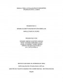 MANUAL PARA LA EVALUACIÓN DE DESEMPEÑO . ORGANIZACIÓN EL COMÚN