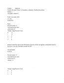 Evidencia 1 Física 1: Cinemática y dinámica