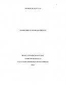 Analisis amor por contrato