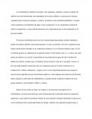 Carbohidratos generalidades