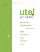 Actividad 2 La colaboración en redes