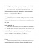 Síntesis de las empresas