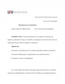 Historia de la linguistica