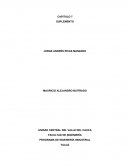 PROGRAMA DE INGENIERÍA INDUSTRIAL