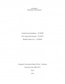 Alternativas e Innovaciones. Proyecto de Vida