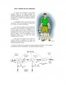 Caso catastrofe stella