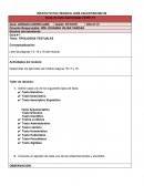 TALLER LENGUA CASTELLANA