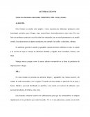 ACTIVIDA GUÍA N°6 Visita a los formatos comerciales ALKOSTO, ARA