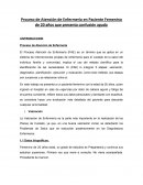 Proceso de Atención de Enfermería en Paciente Femenino de 20 años que presenta confusión aguda