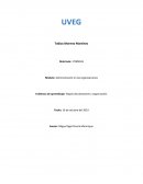 Etapas de planeación y organización