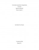 Economía Ingeniería Industrial