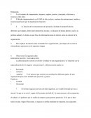 Estructura organizacional AND