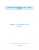 EL IMPERIALISMO EN ASIA Y AFRICA CAUSAS Y EFECTOS