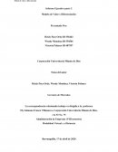 Modelo de Valor y Diferenciación