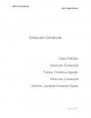 Caso Práctico Dirección Comercial