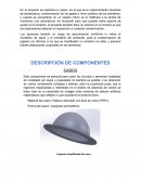 Proyecto UN CASCO