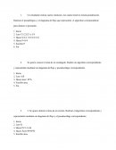 Algoritmos, pseudológico y el diagrama de flujo
