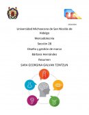 Mercadotecnia . Diseño y gestión de marca