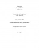 Biodiversidad Fase 3 - Metodologías