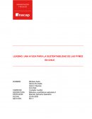 LEASING: UNA AYUDA PARA LA SUSTENTABILIDAD DE LAS PYMES EN CHILE